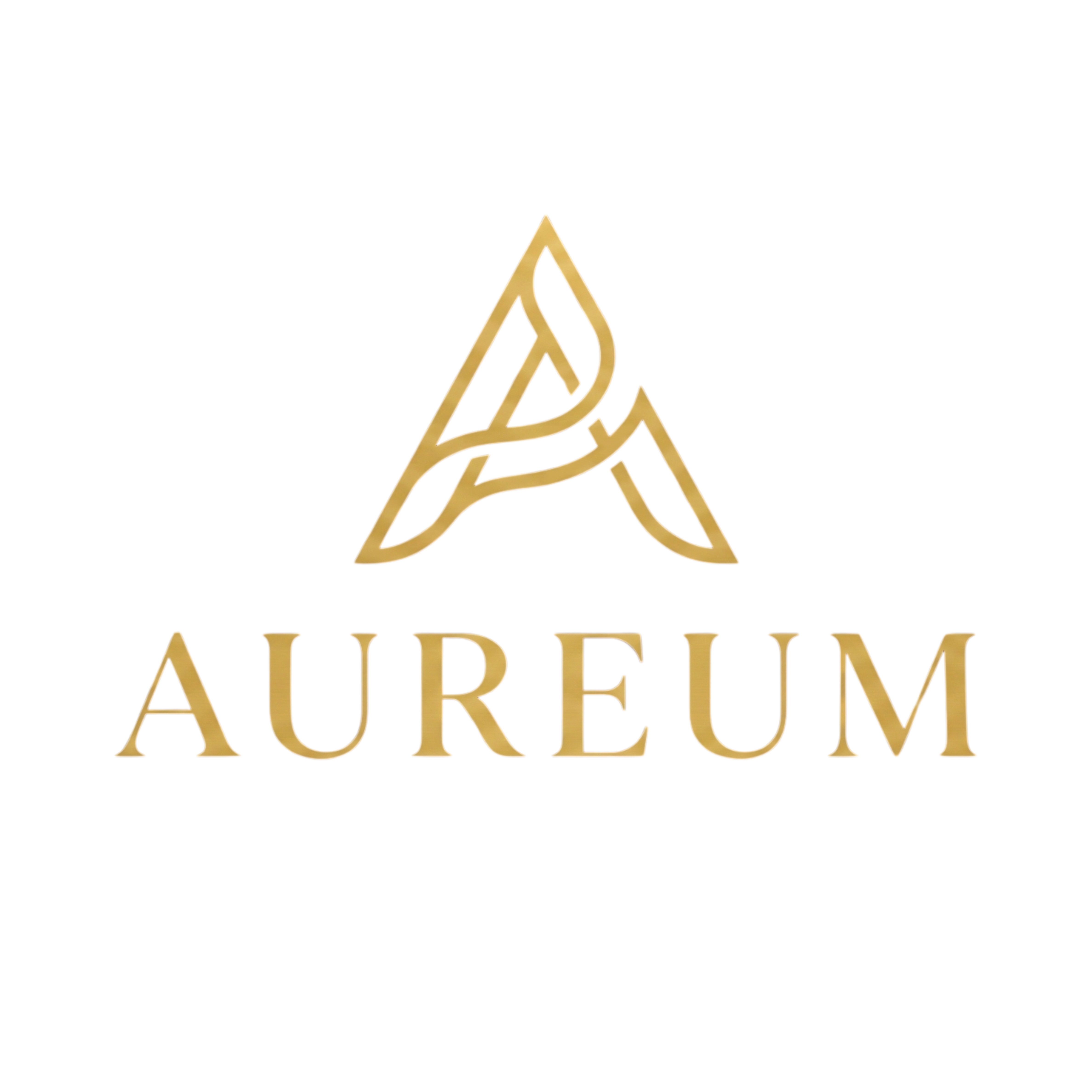 AUREUM Cocina de Autor